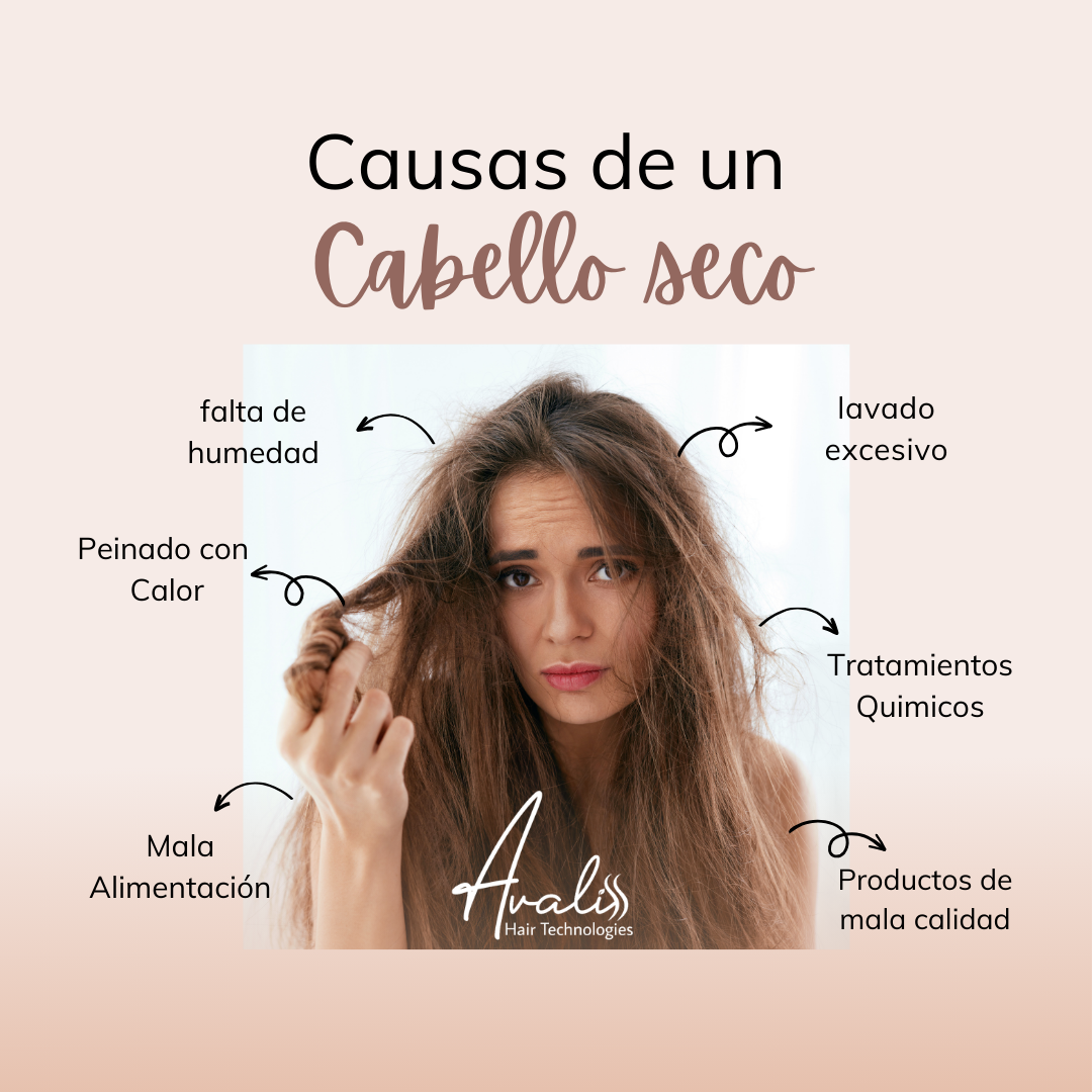 Causas de un cabello seco